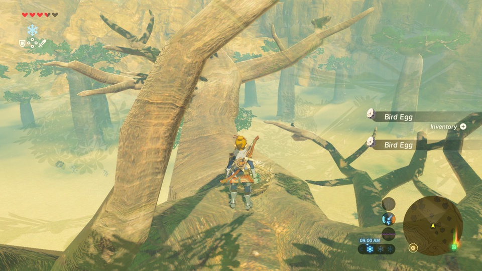 豆瓣评论:现在，在海拉尔——《荒野之息》中的后现代主题