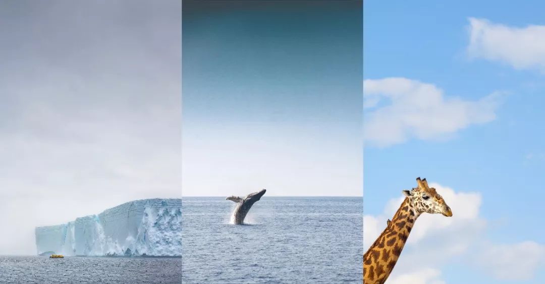 iPhone有一大半都是中国产的丨资讯100秒