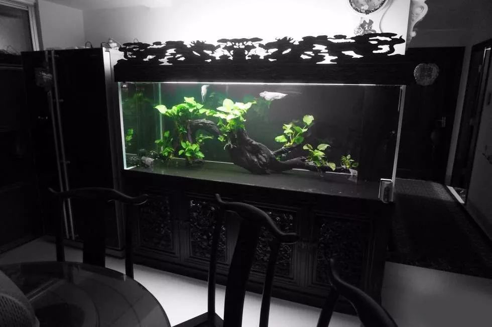 玩得细致、专业,出手不凡!