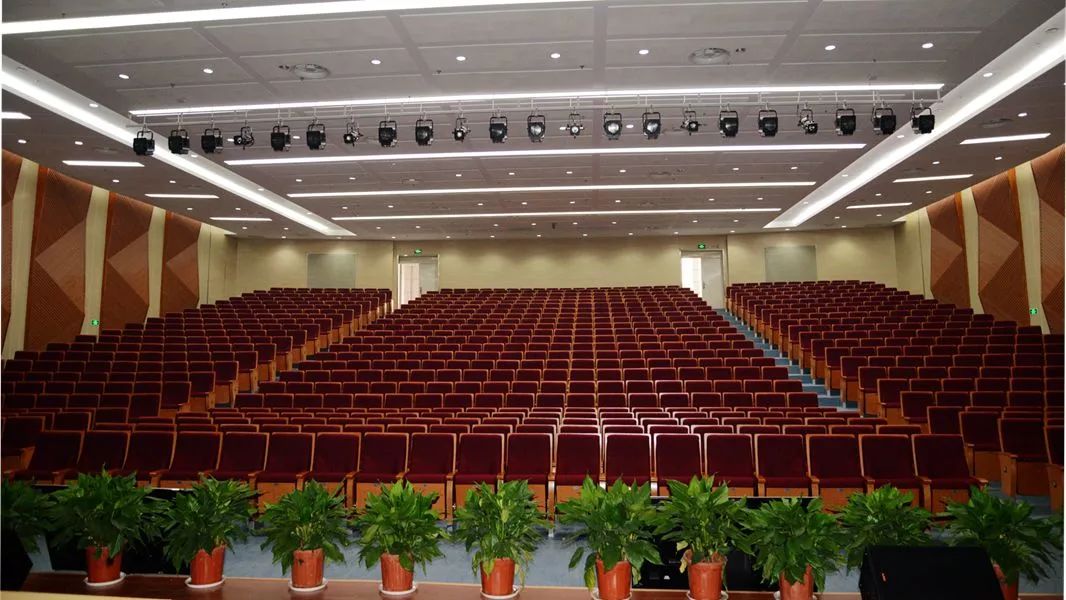 南师树人附小,南师树人小学好不好