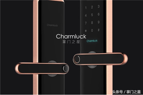 世界十大指纹锁,什么样门锁可以装指纹锁