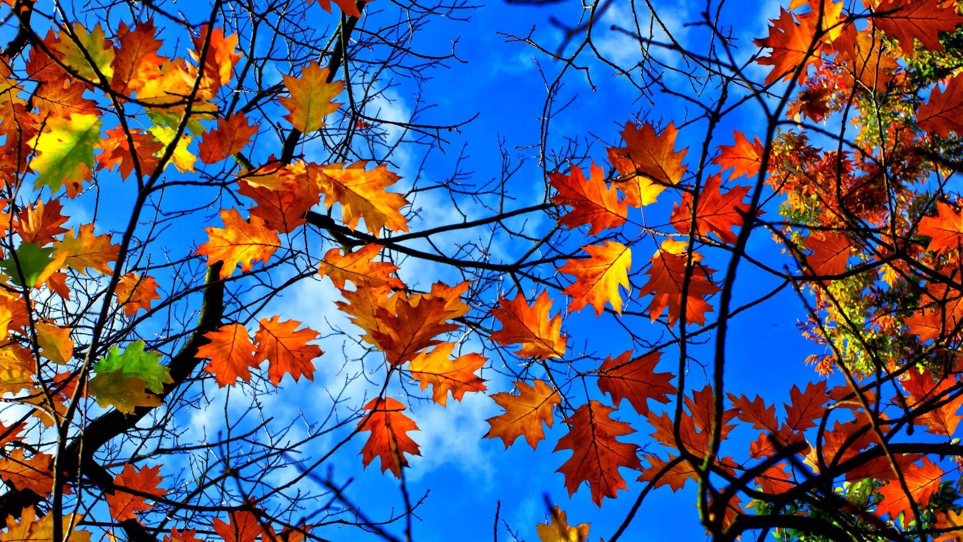 入门级家庭影院配置方案,优派px726hd投影机