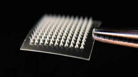 黑科技减肥全过程,黑科技减肥对身体有害处吗