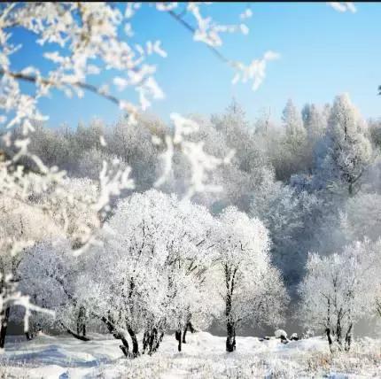 逊克雾凇美景,黑河市大平台雾凇旅游攻略