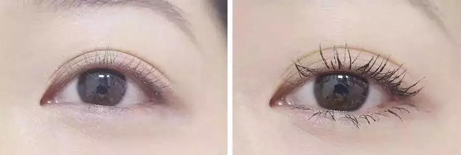 cpb贵妇粉霜好用吗,cpb和dior粉底液