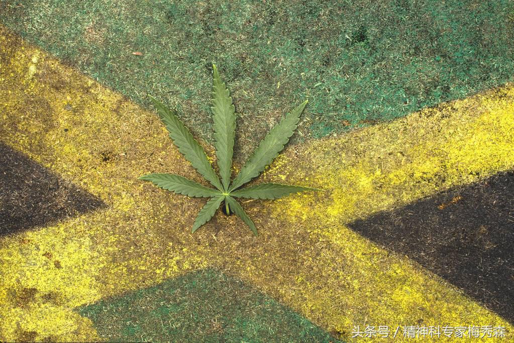 一言不合就动手真的好吗,一言不合就想拼命