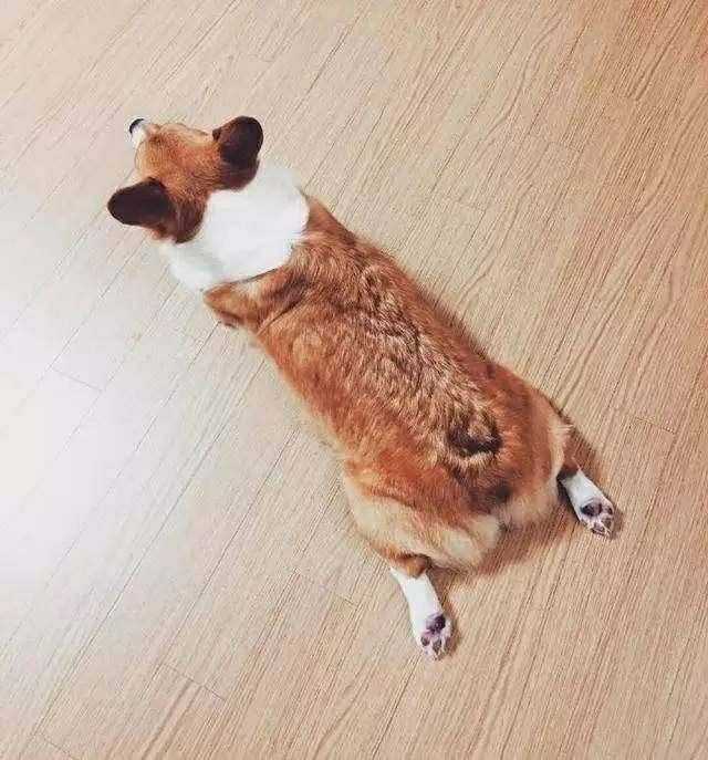 听说你爱豆行程结束后第一件事，就是赶回家见ta！