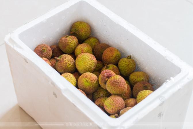 和父母的三亚之旅,带着爸妈去海岛旅游