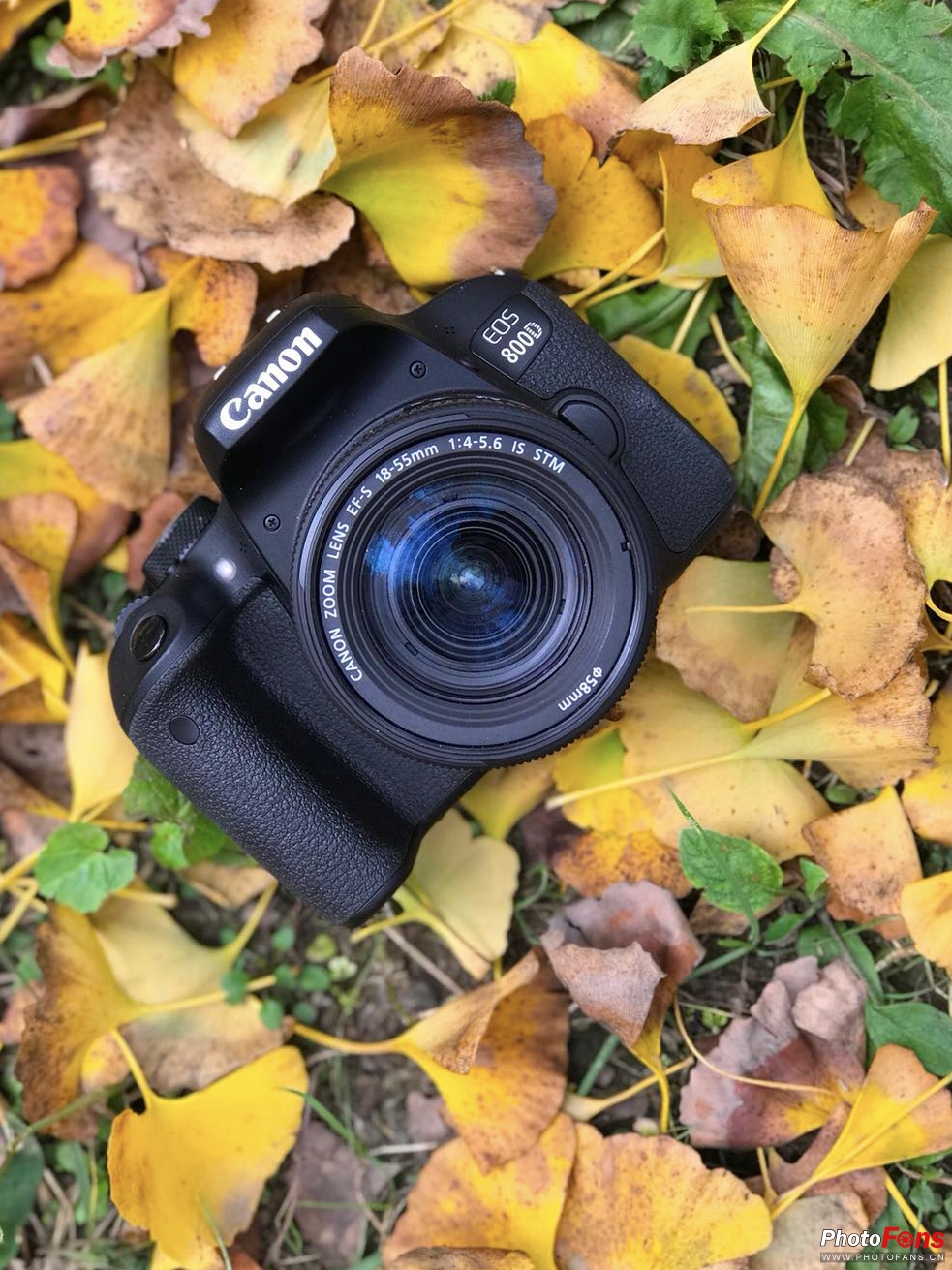 佳能eos800d摄影视频,相机初学者推荐佳能800d