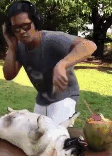 看完笑的腮帮发酸的二十六张图（9998714）