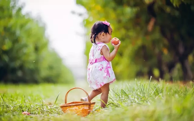 稳步鞋哪个牌子好穿,稳步鞋和学步鞋区别