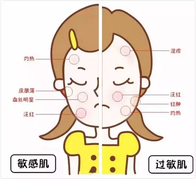 舒淇为什么突然告别演员生涯,舒淇22岁到43岁颜值变化