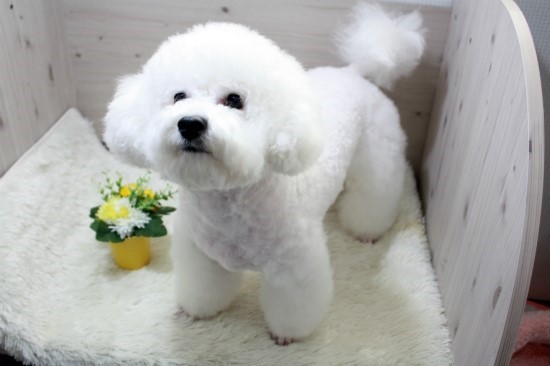 听说你爱豆行程结束后第一件事，就是赶回家见ta！