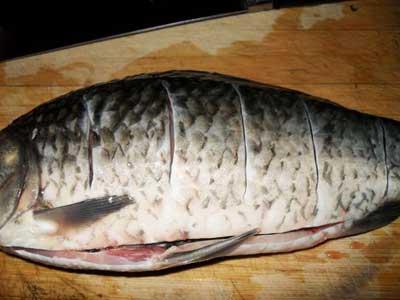 炖鱼时要想鱼汤奶白鲜香,清炖鱼怎么炖鱼汤才会白色