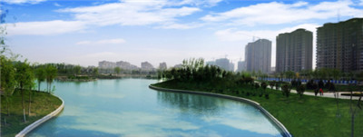 神奇的维度,神奇的维度是什么