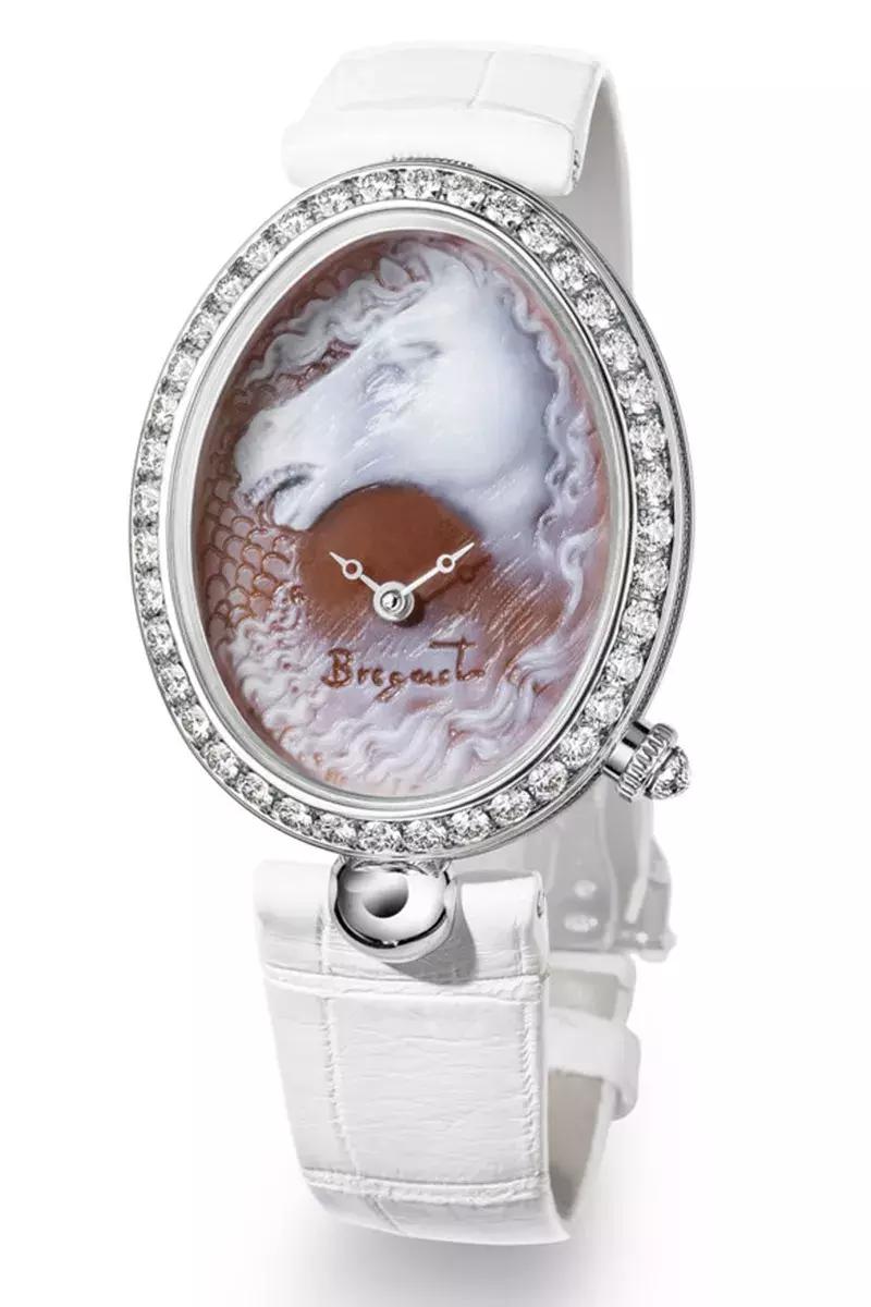 表盘参数详细讲解,表盘教学大全