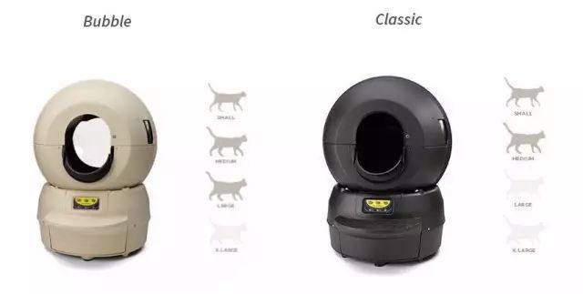 养猫如何不铲屎,什么猫不用铲屎呢