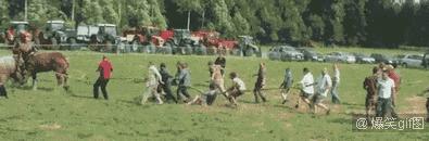 天龙旗舰520值得购买吗,天龙旗舰版520都是什么配置