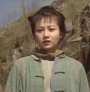 韦小宝七个老婆性格分析,韦小宝的七个女人特点