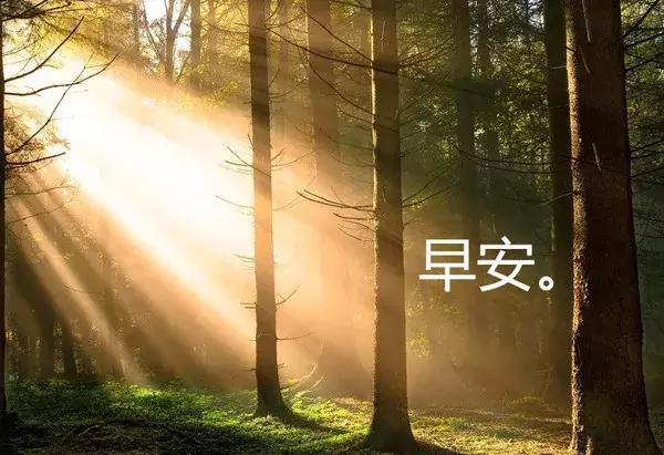 早安语录正能量朋友圈微商,早安经典语录句子微商