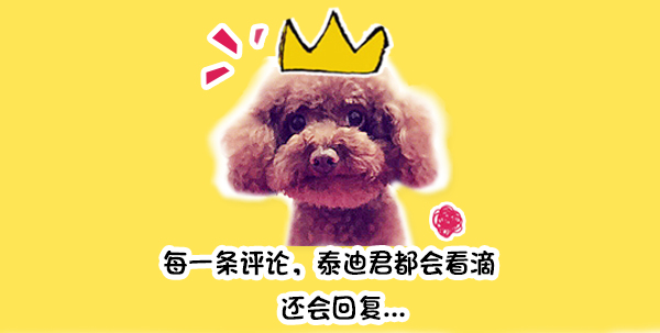 狗抱猫咪使劲摇晃视频,狗狗抱主人抖动视频