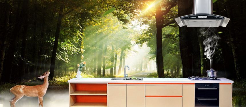 2019全世界十大品牌抽油烟机,十大品牌抽油烟机排名方太