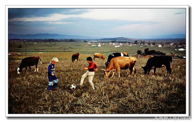瓒崇悆鎴戜滑鏄笉鍙垬鑳滅殑,瓒崇悆涓嶅簲璇ユ垚涓鸿祫鏈崥寮堢殑宸ュ叿