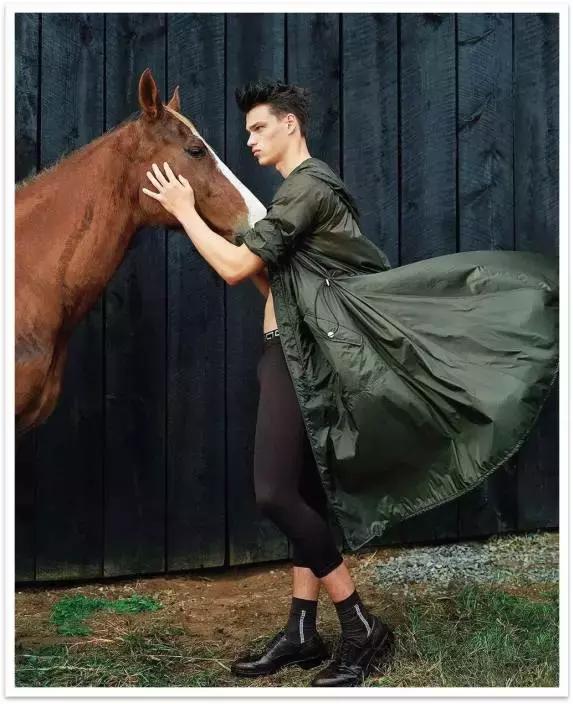 巴洛克范思哲风格,范思哲巴洛克花纹