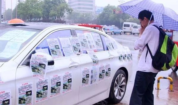 丢了狗狗如何寻找,狗狗丢了该怎么找回来