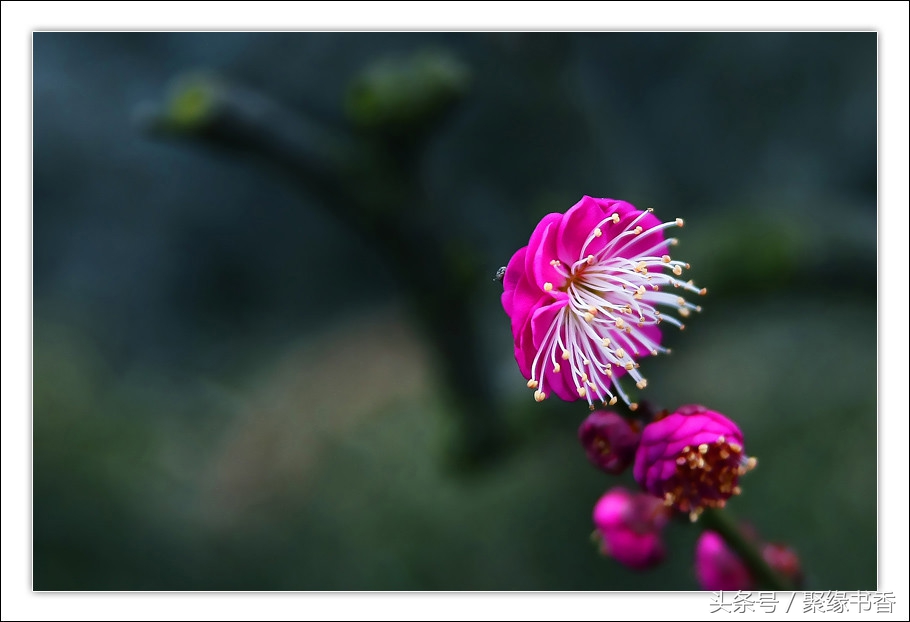 长相思古诗词经典唯美名句,唯美古诗词长相思