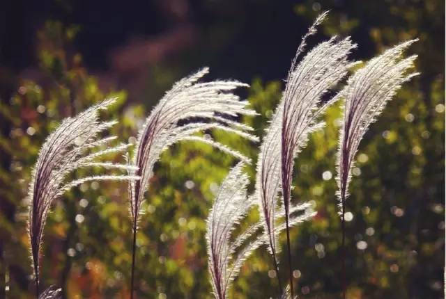 常数e有什么实际用途,常数e的推导过程