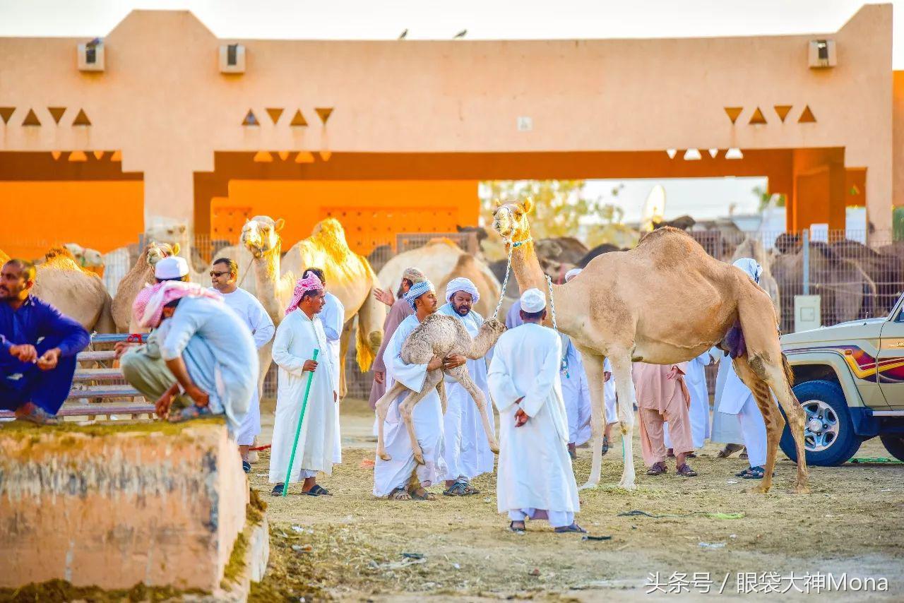阿布扎比是一个什么样国家,阿布扎比是个什么样的国家