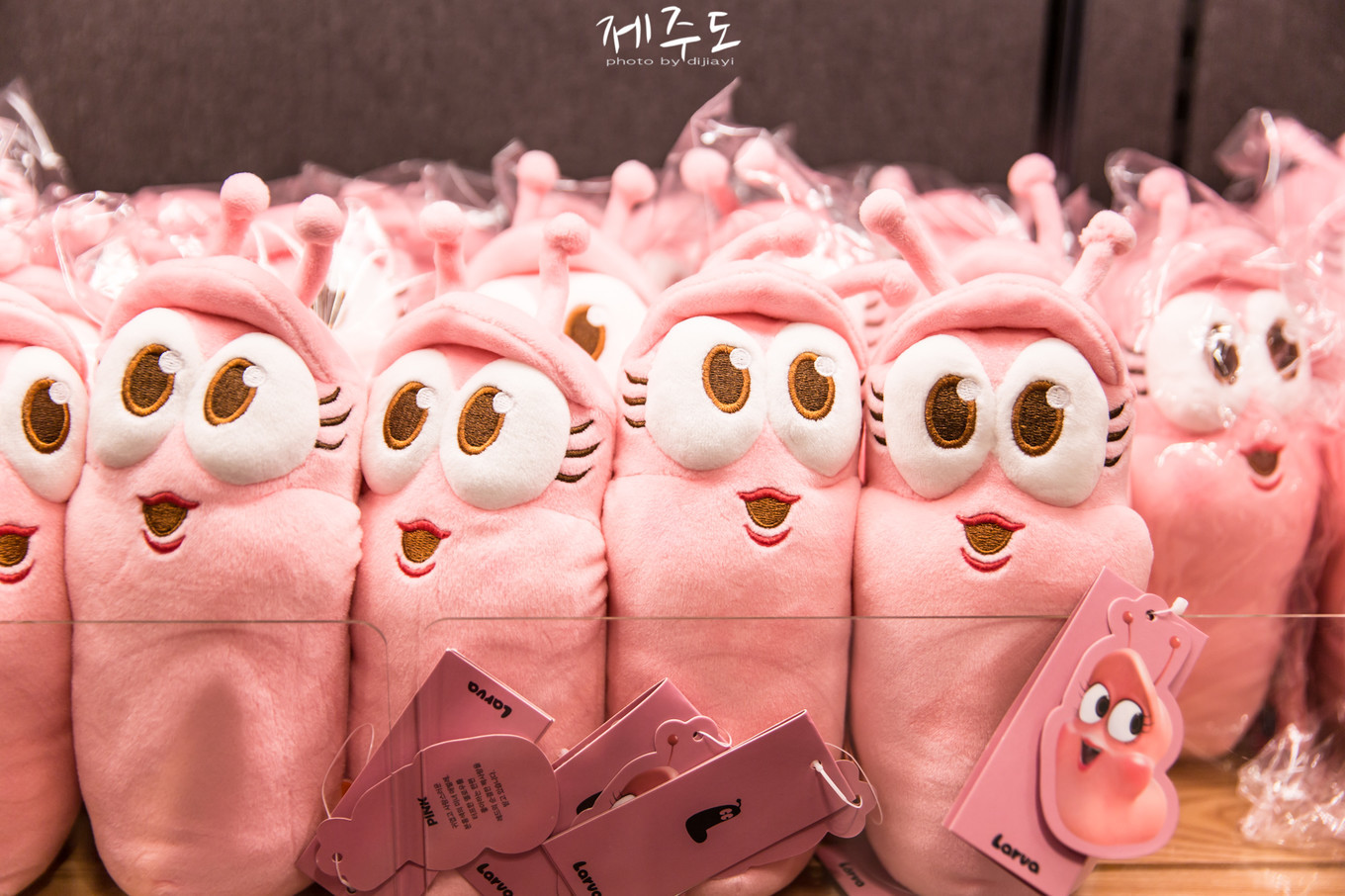 济州岛海边窗口打卡,韩国济州岛文艺浪漫打卡地