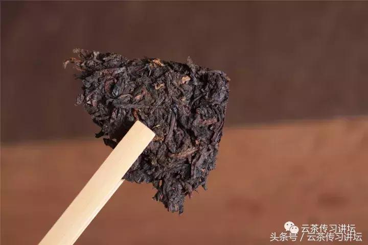 承贡茶之精髓传普洱之芳韵（上）