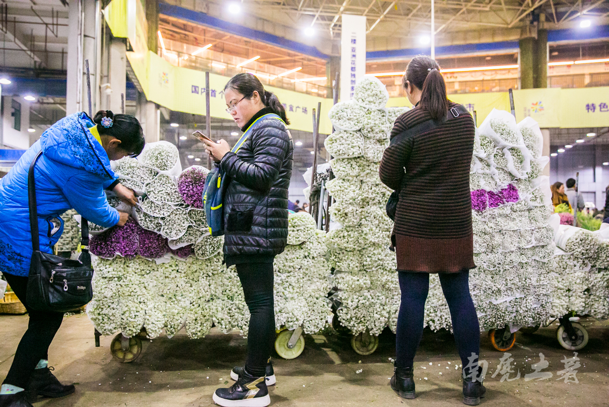 中国最大的花卉交易市场是哪里,中国最大鲜花交易市场