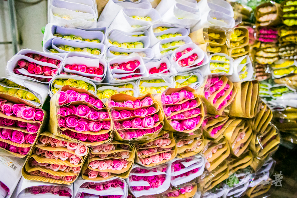 中国最大的花卉交易市场是哪里,中国最大鲜花交易市场