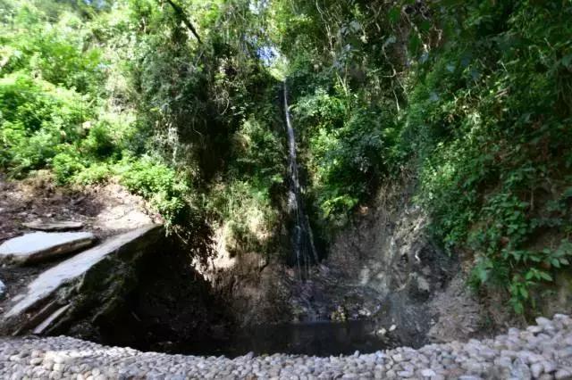无量山樱花谷夏天,无量山樱花谷雾里看花