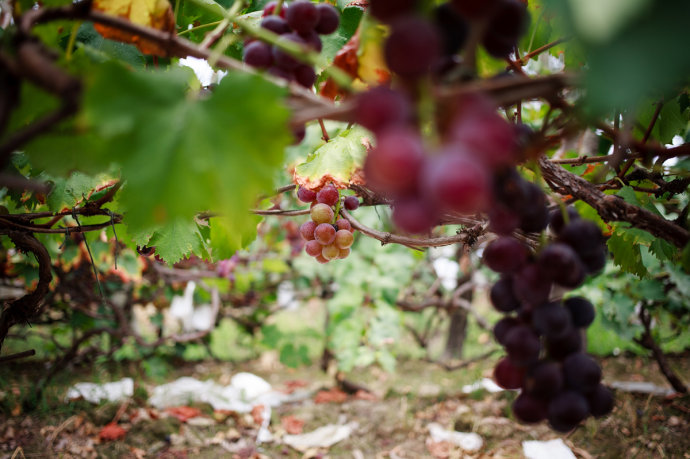 福州亲子一日游景点推荐,福州亲子旅游攻略二日游最佳路线