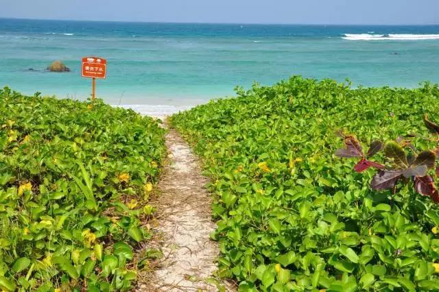 这里是中国人的“情人岛”，比巴厘岛浪漫，比塞班岛热情