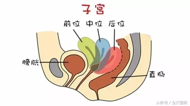 别再这样做！这些动作会导致女人子宫移位！