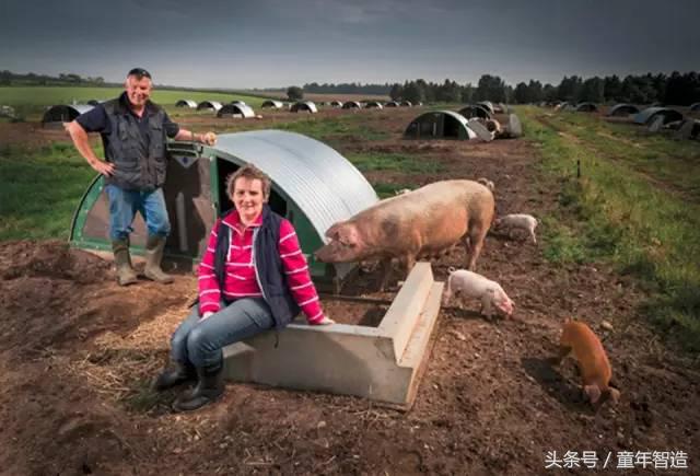 科学养娃真的科学么,科学有用常识小知识