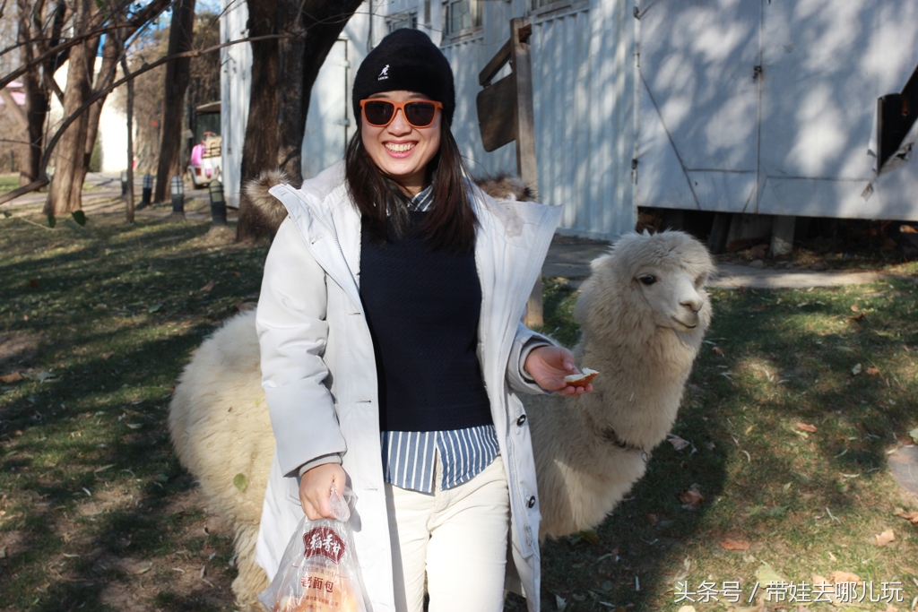 奥森附近小动物乐园,奥森公园世外桃源