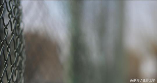 濂ユ灄宸存柉45mmf1.2pro娴嬭瘎,濂ユ灄宸存柉25mmf1.2pro璇勬祴