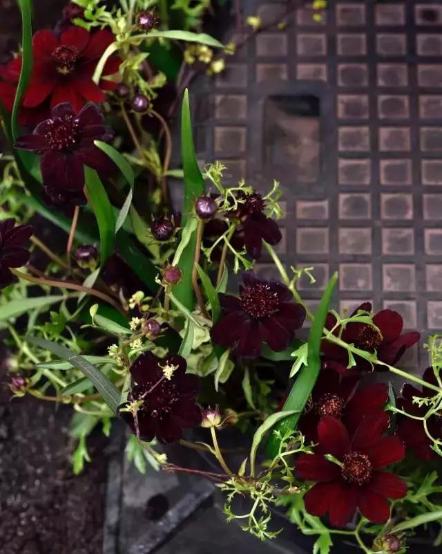 开花店需要准备什么,开一个花店需要准备哪些