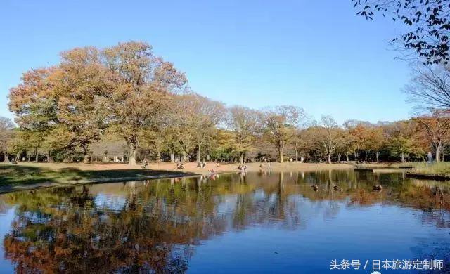 东京jr山手线详解,东京jr山手线报站