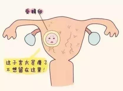 打胎真的有那么可怕吗,现在才知道打胎是多么明智的选择