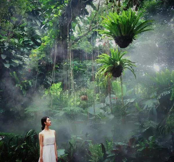 去厦门旅游怎么玩最好,去厦门该怎么玩