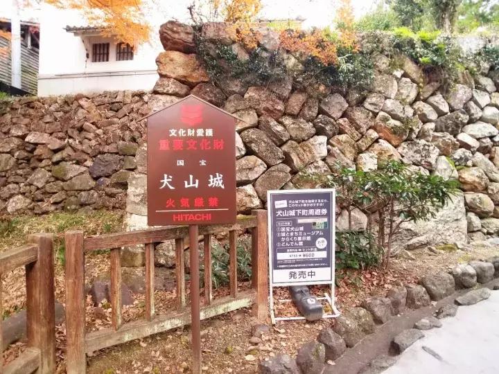 中北部升龙道深度游攻略,日本龙岛旅游攻略