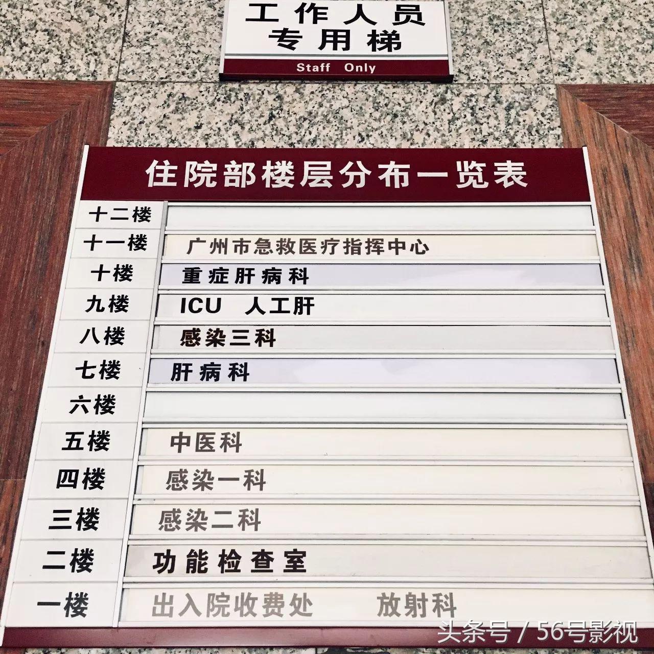 梅毒跟艾滋病谁可怕,艾滋病真的可怕吗知乎