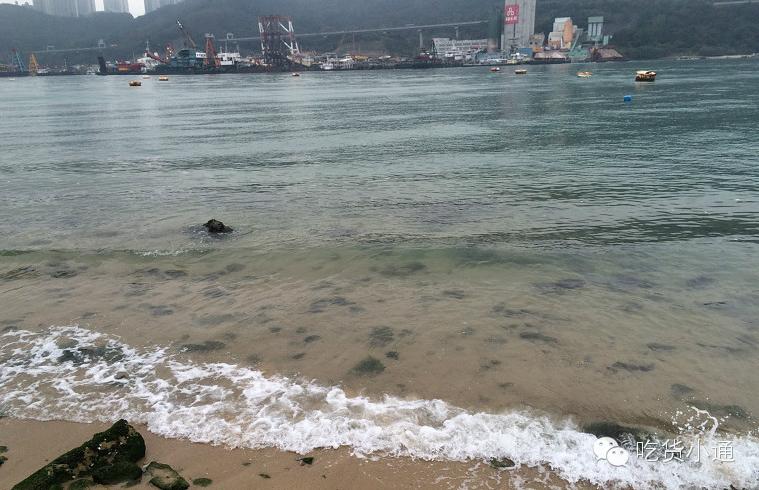 终于吃到了！排了1个小时队！王菲、梁朝伟，这里也去过